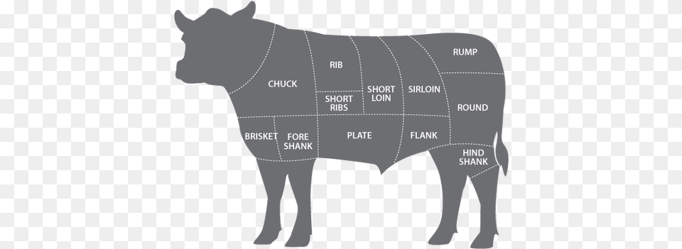 Brisket Patio Pitmasters Beef Animal Meat Cuts, Chart, Plot, Person, Mammal Png