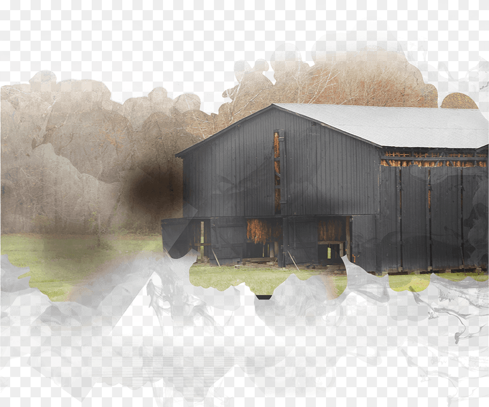 Bristol Myers Squibb Foundation Snow, Architecture, Rural, Outdoors, Nature Png Image