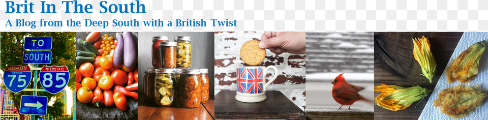 Brit In The South Archant, Cup, Animal, Bird, Food Free Transparent Png