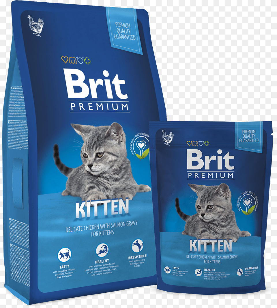 Brit Premium Cat Kitten Brit Premium Cat Food, Animal, Mammal, Pet, Box Png