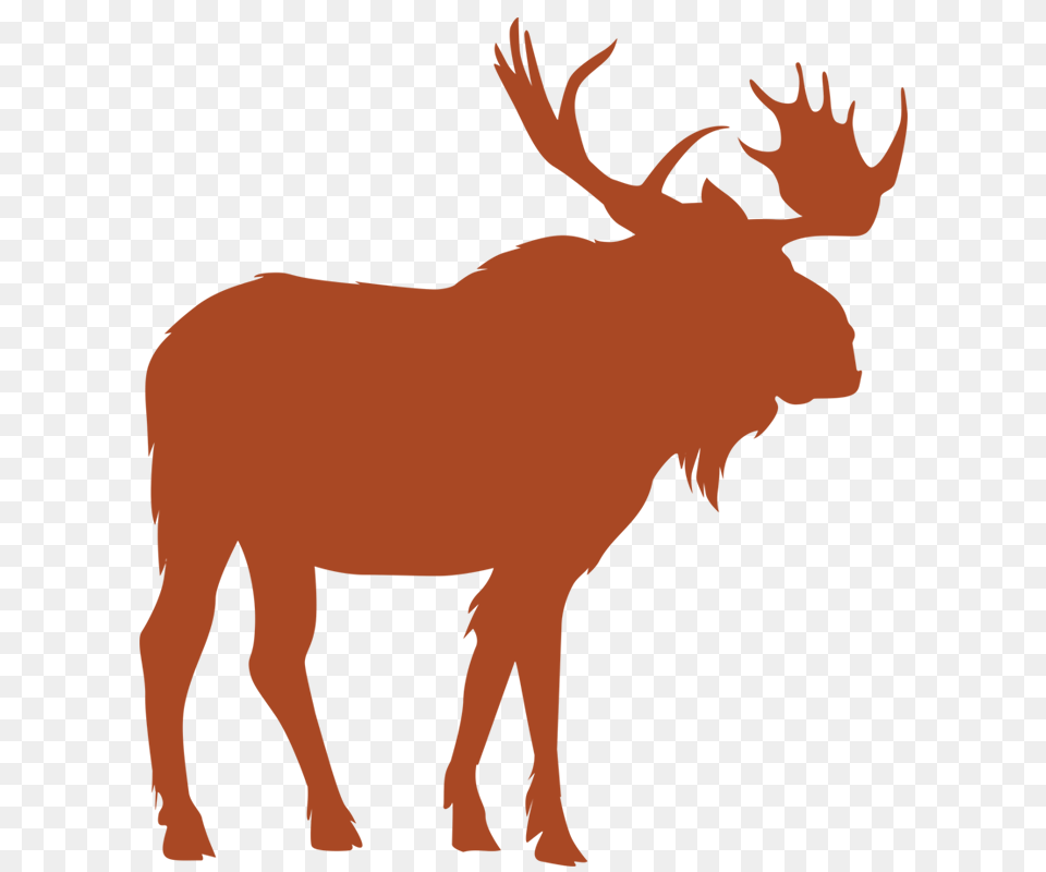 British Columbia Moose Hunting Photos, Maroon, Home Decor Png Image