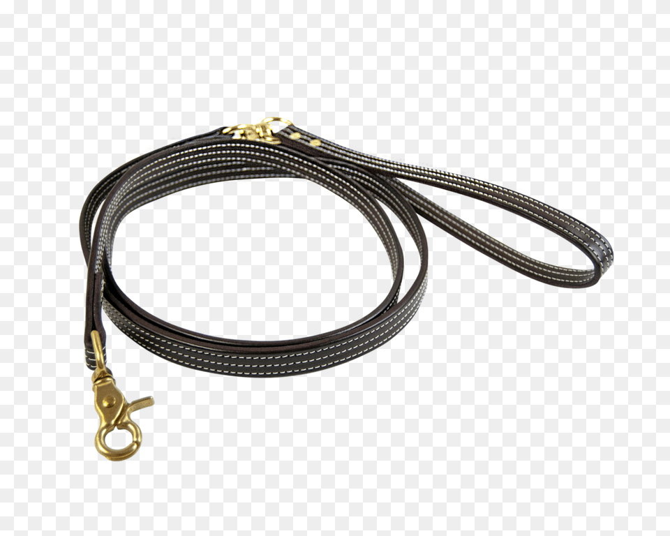 British Dog Leash Free Transparent Png