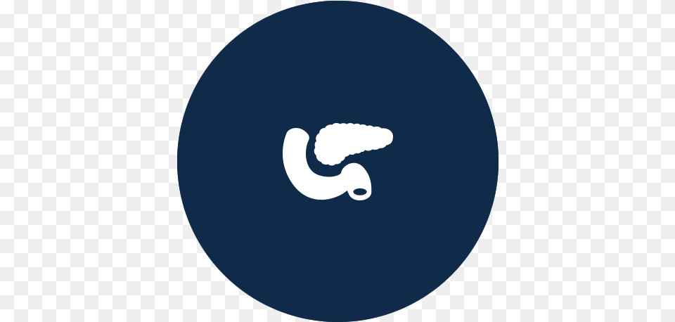 British Transplantation Society Pancreas Icon, Disk Png