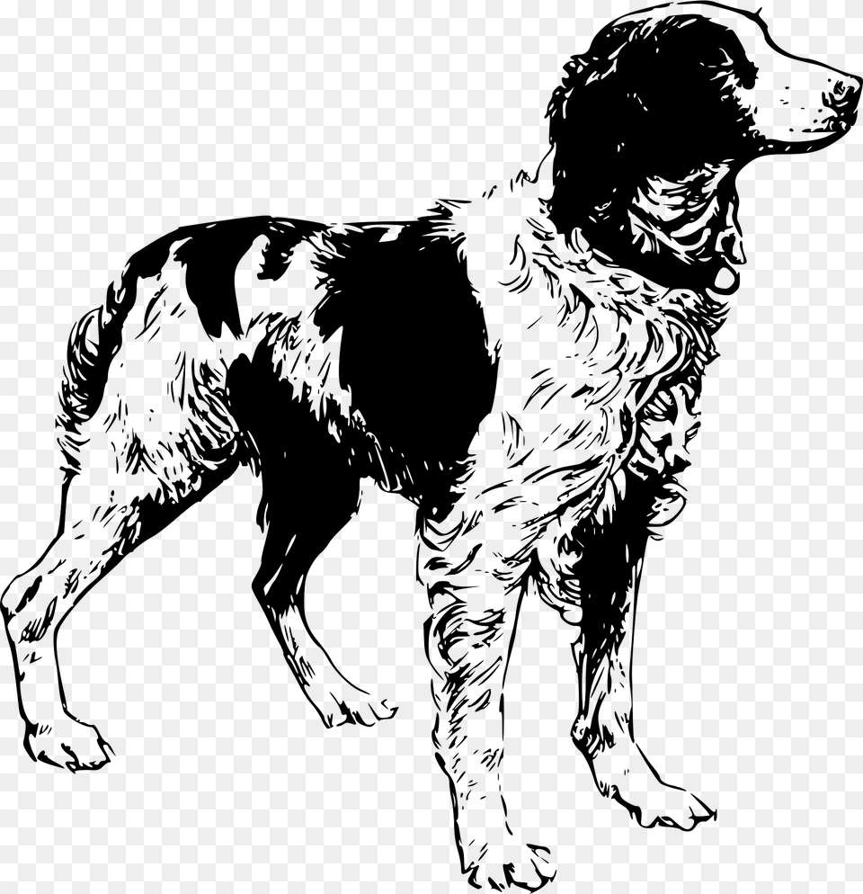 Brittany Spaniel Clipart, Animal, Canine, Dog, Mammal Free Transparent Png