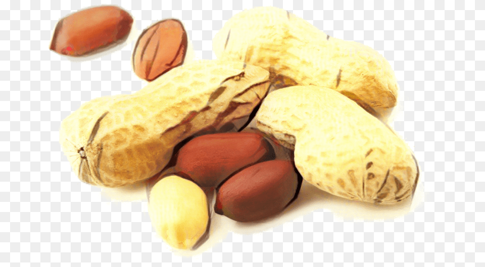 Brittle Peanut Oil Peanut Butter And Jelly Sandwich Groundnut Grain, Food, Nut, Plant, Produce Png Image