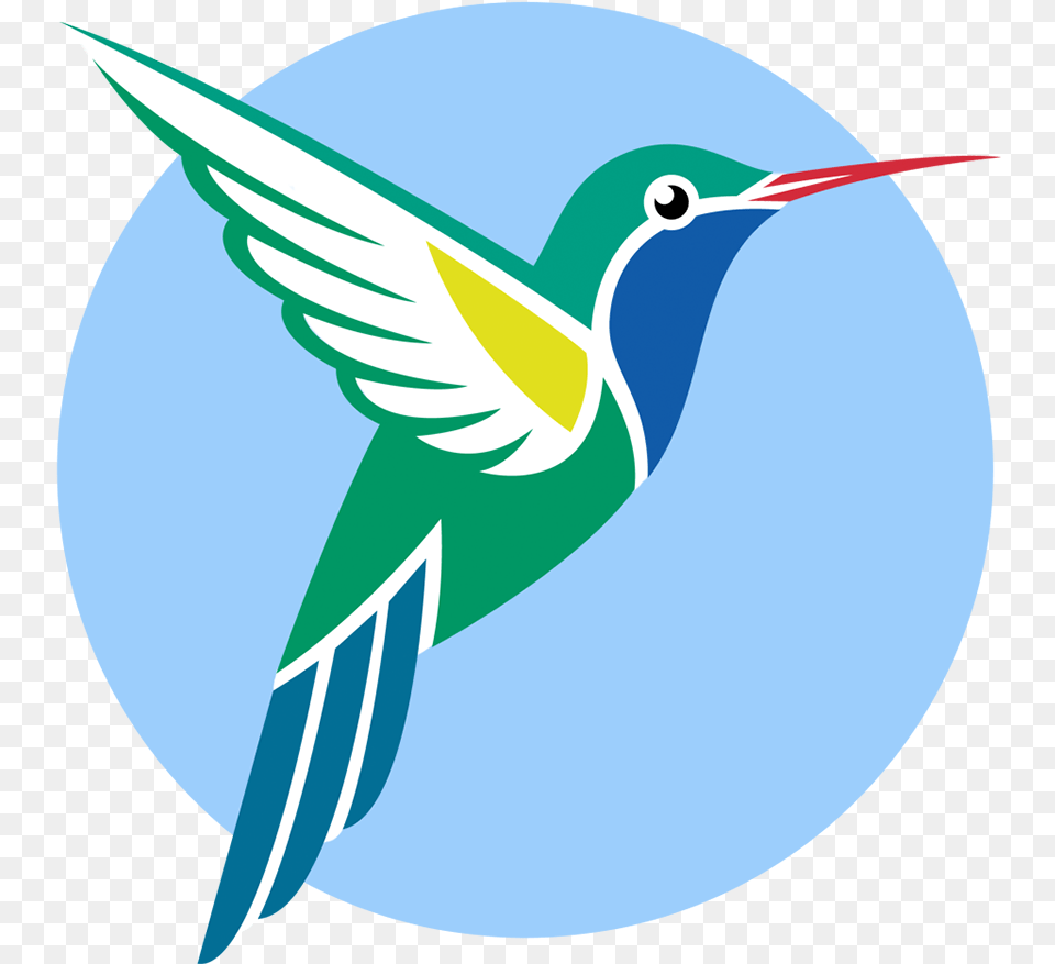 Broad Billed Hummingbird Vector Graphics Ruby Throated, Animal, Fish, Sea Life, Shark Free Transparent Png