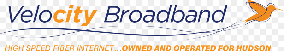 Broadband, Animal, Bird, Text, Light Png Image
