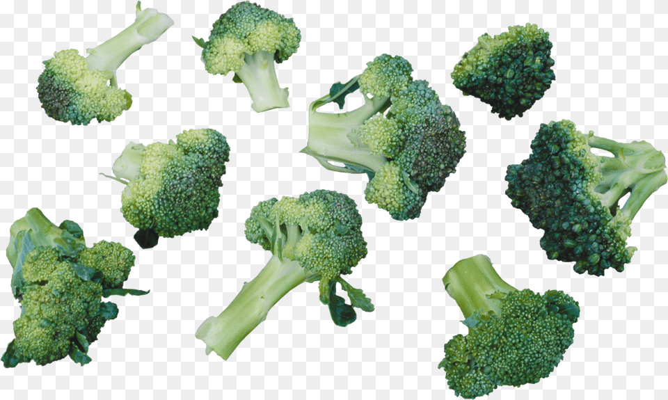 Broccoli Png