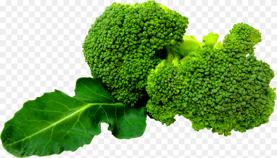 Broccoli, Food, Plant, Produce, Vegetable Png Image