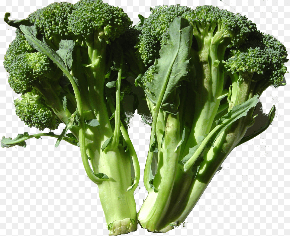 Broccoli Png