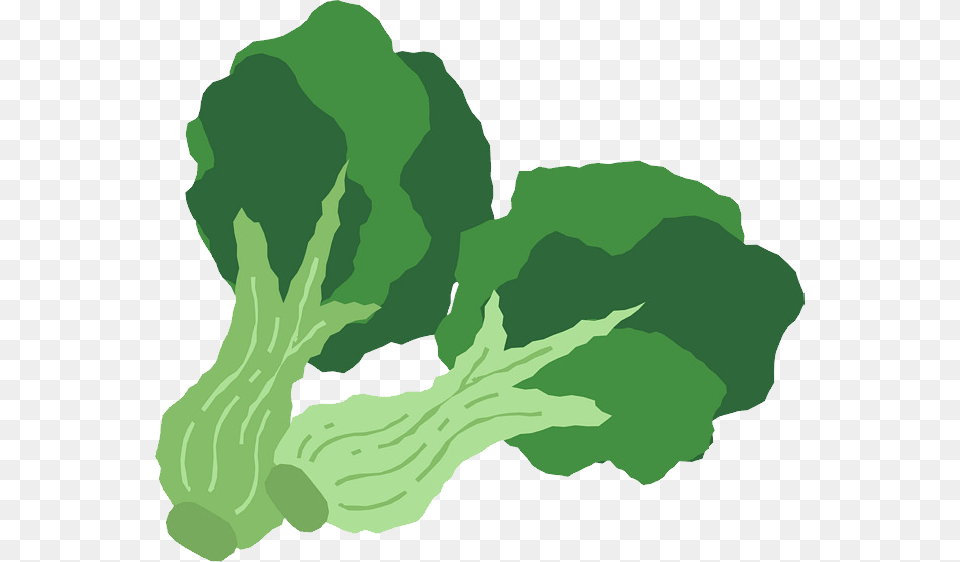 Broccoli, Food, Produce, Leafy Green Vegetable, Plant Free Png