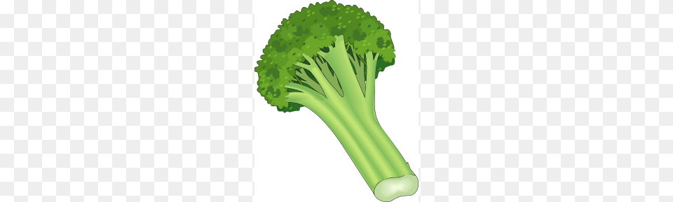 Broccoli, Food, Plant, Produce, Vegetable Free Transparent Png