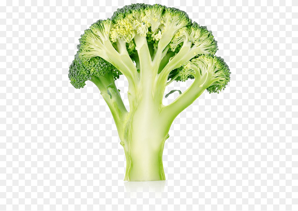 Broccoli, Food, Plant, Produce, Vegetable Png