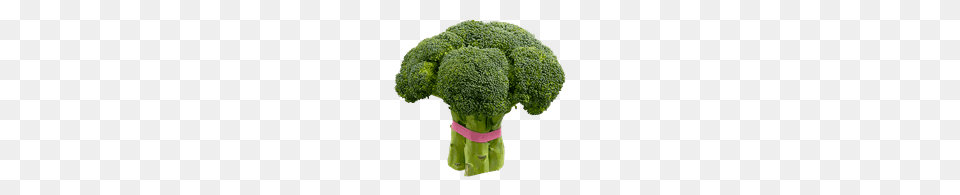 Broccoli, Food, Plant, Produce, Vegetable Free Transparent Png