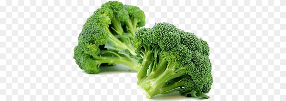 Broccoli, Food, Plant, Produce, Vegetable Free Png Download