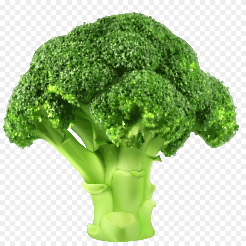 Broccoli Free Png Download