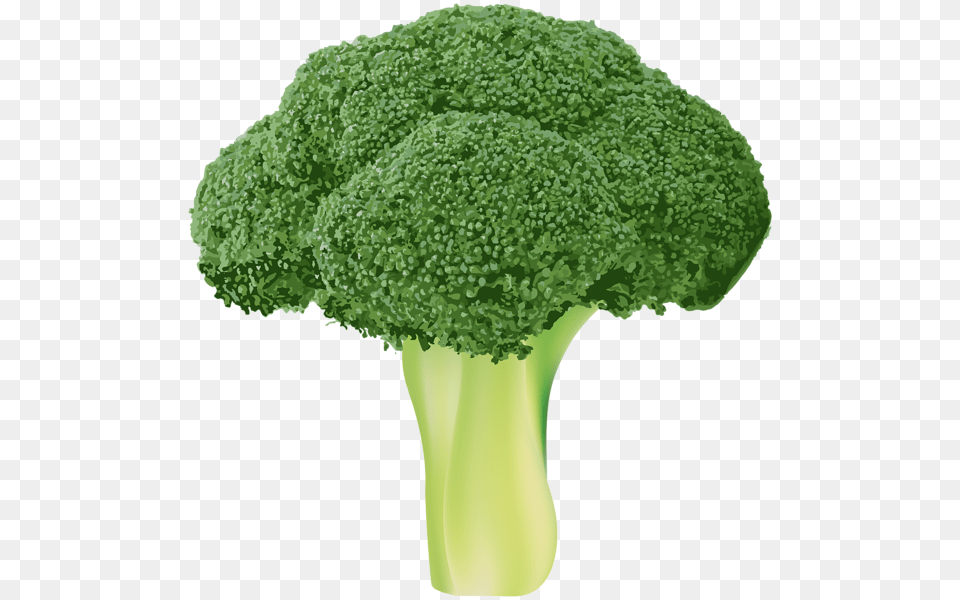 Broccoli, Food, Plant, Produce, Vegetable Free Transparent Png