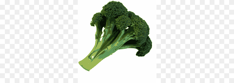 Broccoli Food, Plant, Produce, Vegetable Png