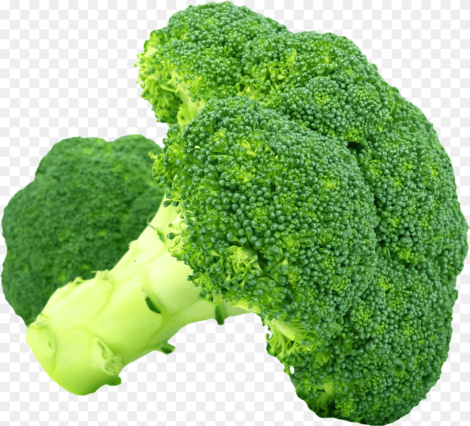 Broccoli, Food, Plant, Produce, Vegetable Free Png