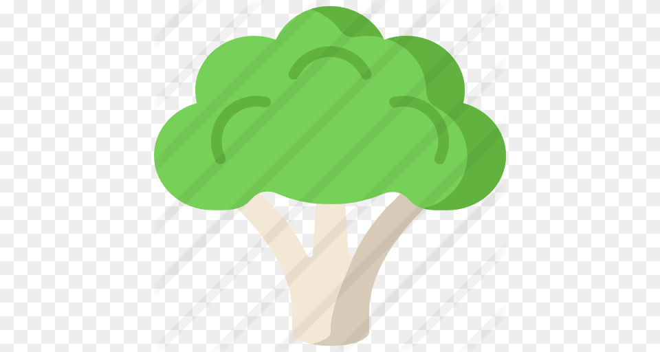 Broccoli, Food, Green, Plant, Produce Free Transparent Png