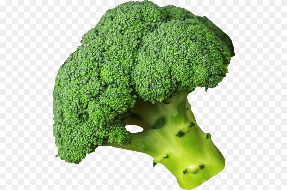 Broccoli, Food, Plant, Produce, Vegetable Png