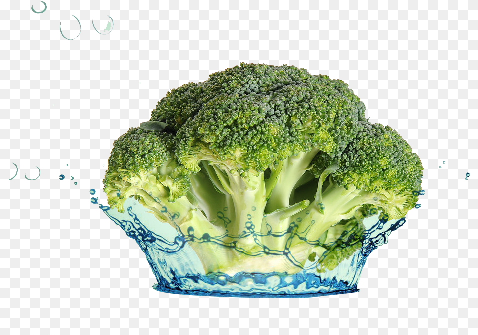 Broccoli, Food, Plant, Produce, Vegetable Free Png