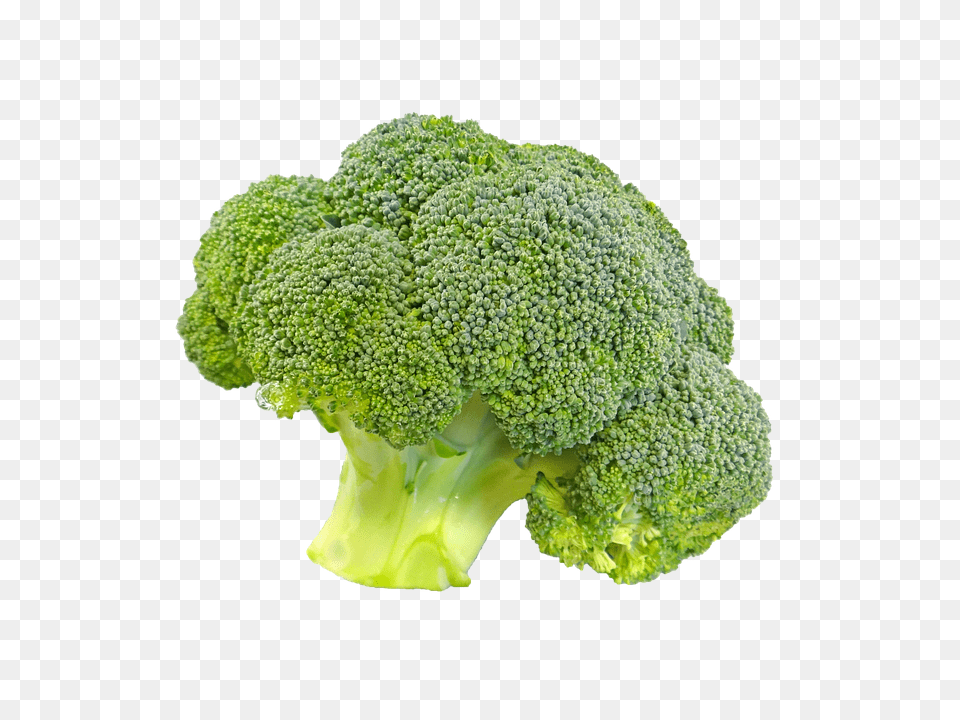 Broccoli Food, Plant, Produce, Vegetable Free Png Download