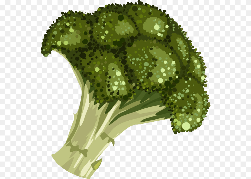 Broccoli, Vegetable, Produce, Plant, Food Free Png Download