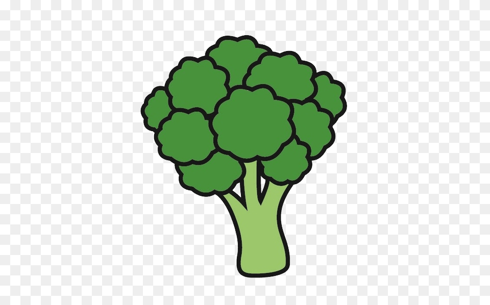 Broccoli, Food, Plant, Produce, Vegetable Png Image