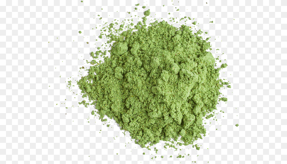Broccoli, Powder Free Transparent Png