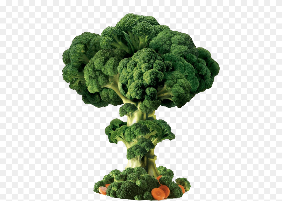 Broccoli, Food, Plant, Produce, Vegetable Png