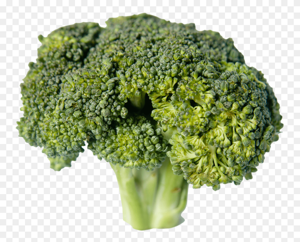 Broccoli, Food, Plant, Produce, Vegetable Free Png Download