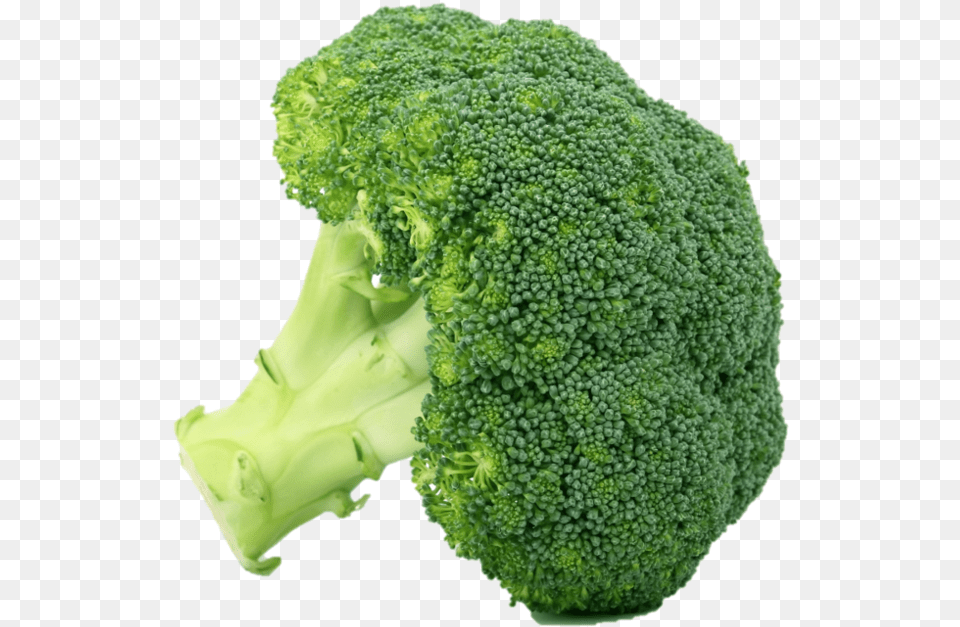 Broccoli, Food, Plant, Produce, Vegetable Free Transparent Png