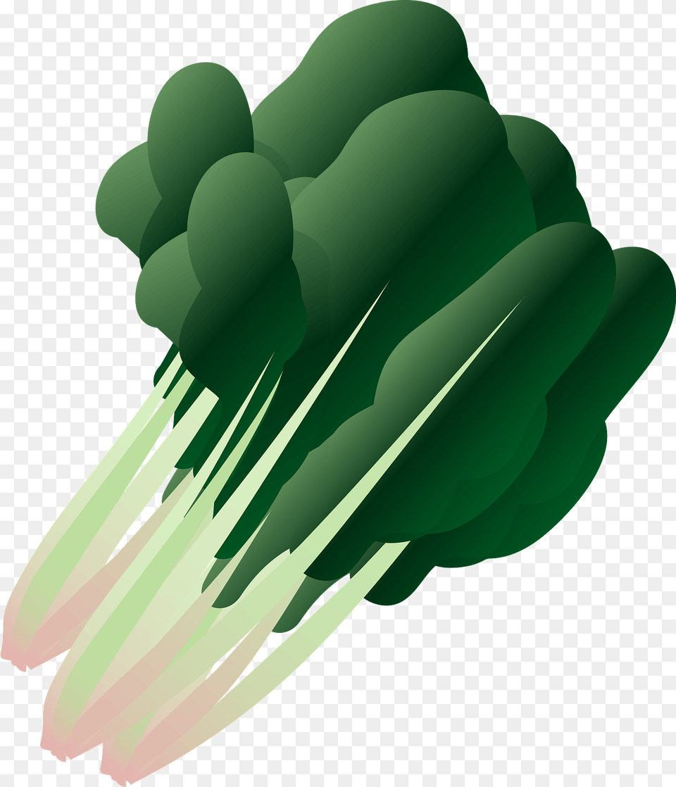 Broccoli, Green, Body Part, Hand, Person Free Transparent Png