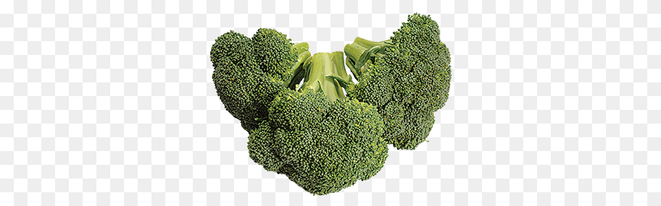 Broccoli, Food, Plant, Produce, Vegetable Free Transparent Png