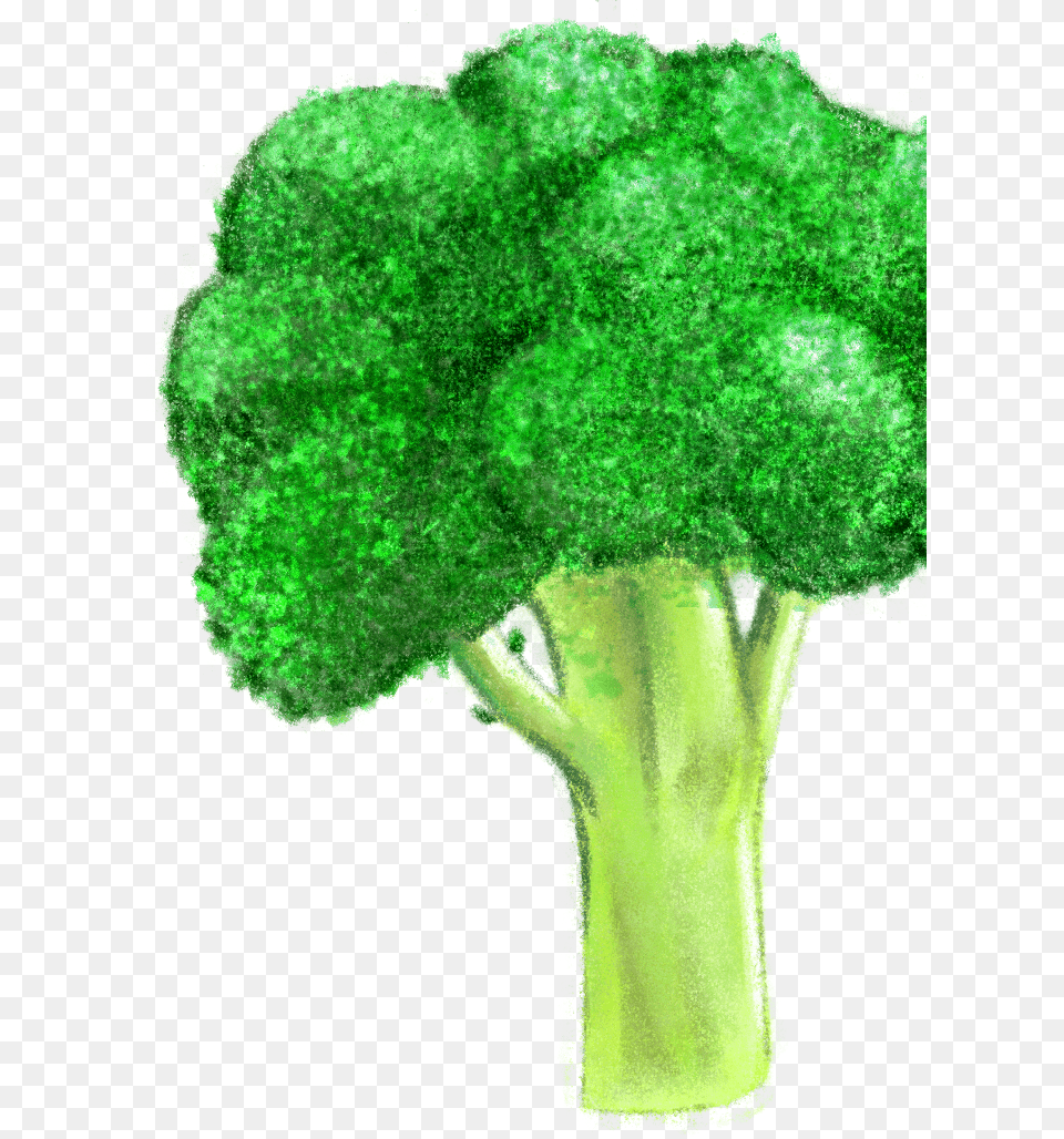 Broccoli, Food, Plant, Produce, Vegetable Png Image