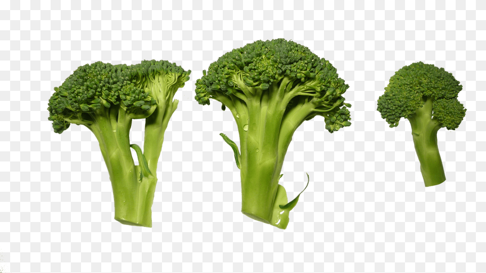 Broccoli Food, Plant, Produce, Vegetable Free Png Download