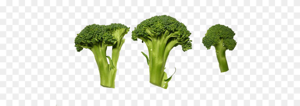 Broccoli Food, Plant, Produce, Vegetable Free Transparent Png