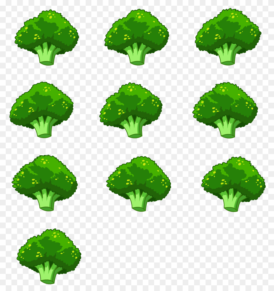 Broccoli, Food, Plant, Produce, Vegetable Png