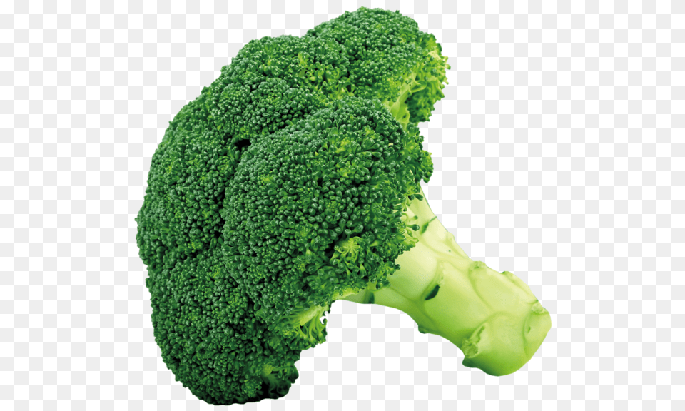 Broccoli, Food, Plant, Produce, Vegetable Free Png Download