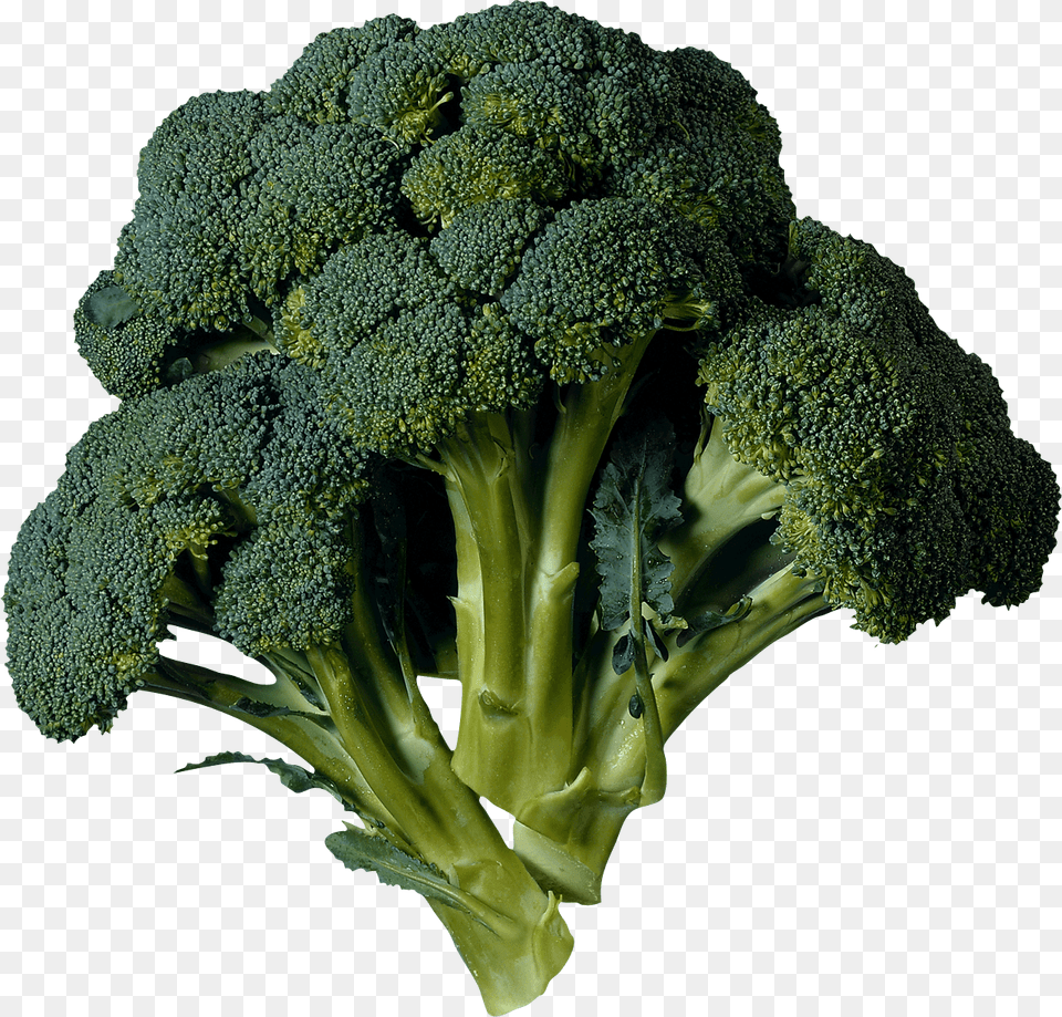 Broccoli, Food, Plant, Produce, Vegetable Free Png Download