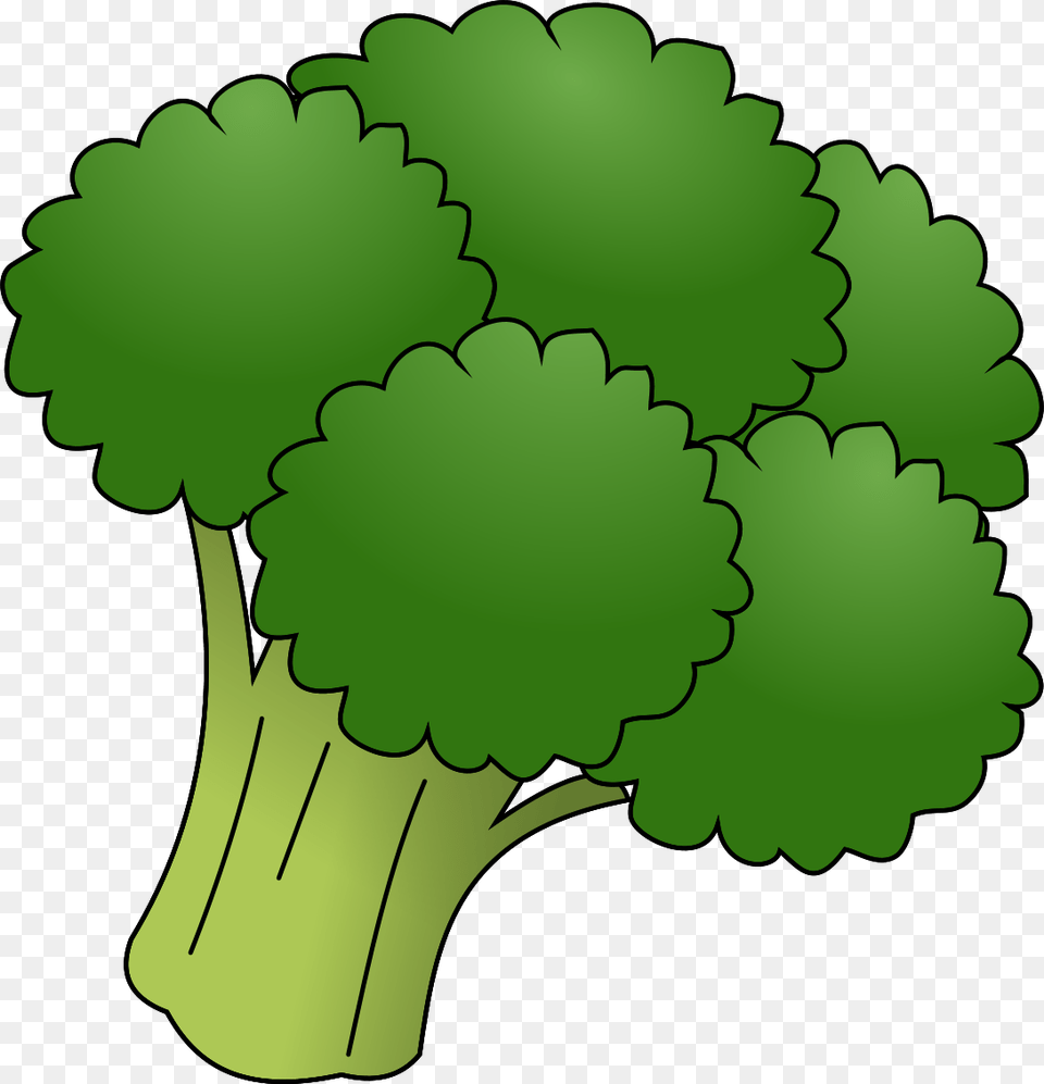 Broccoli, Food, Plant, Produce, Vegetable Png Image