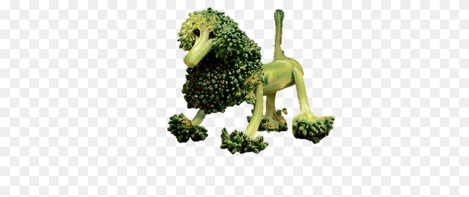 Broccoli, Food, Plant, Produce, Vegetable Png