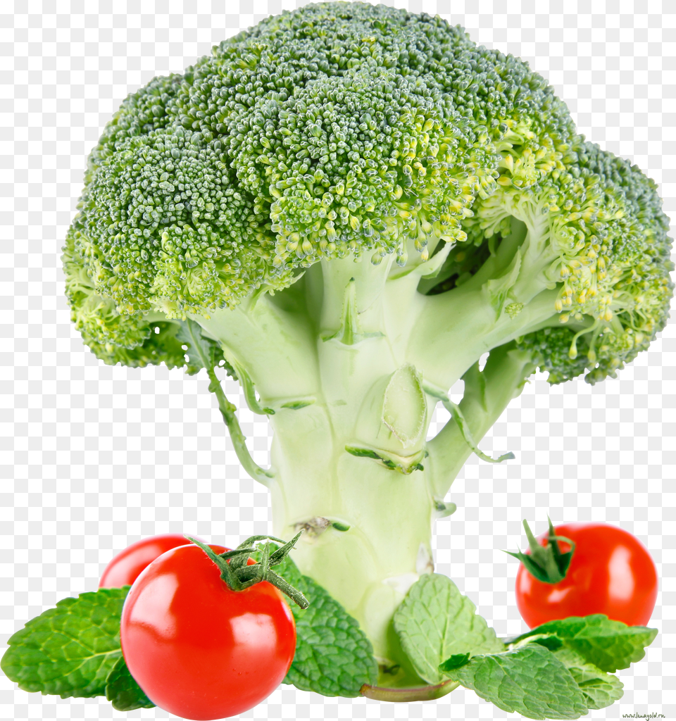 Broccoli Png Image