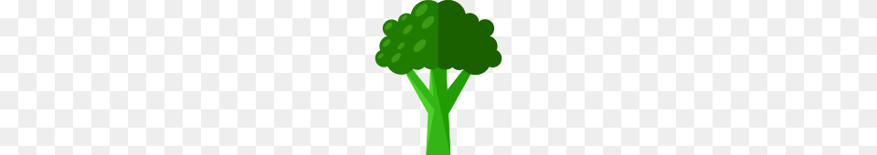 Broccoli, Food, Plant, Produce, Vegetable Png