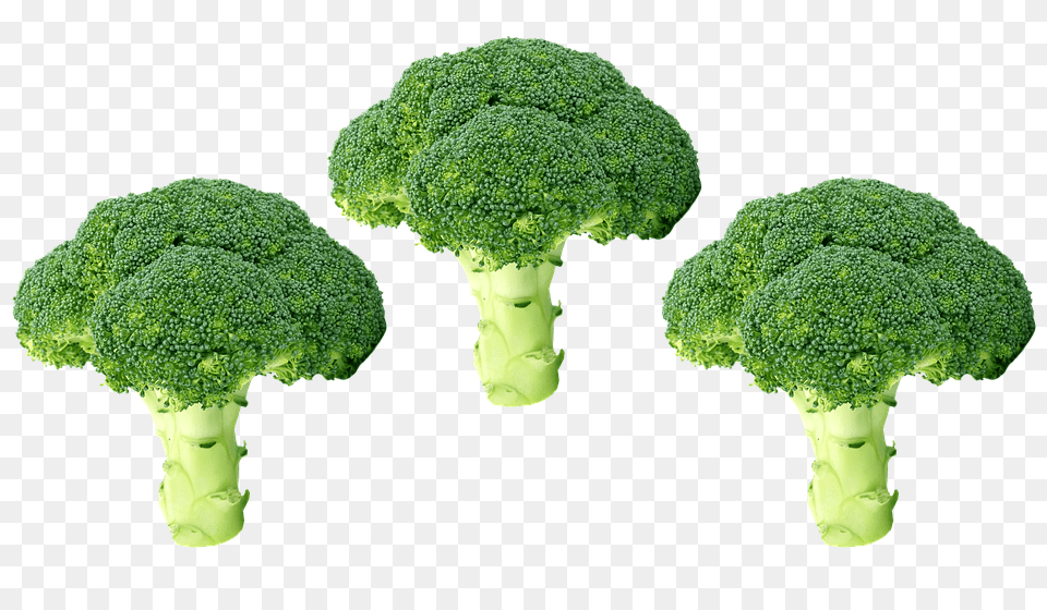 Broccoli, Food, Plant, Produce, Vegetable Png