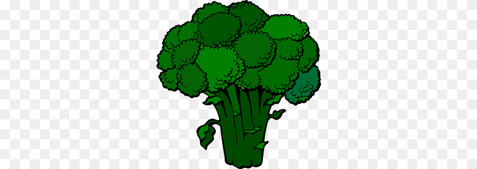 Broccoli Food, Plant, Produce, Vegetable Png Image