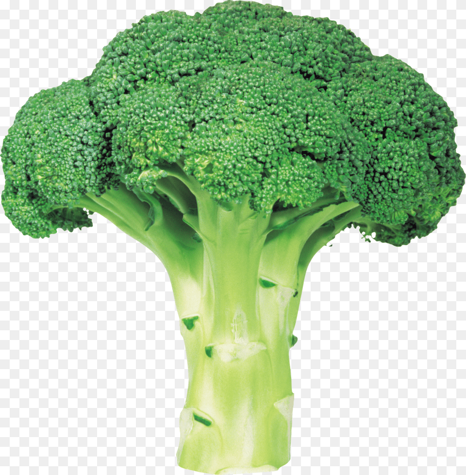 Broccoli, Food, Plant, Produce, Vegetable Free Png Download