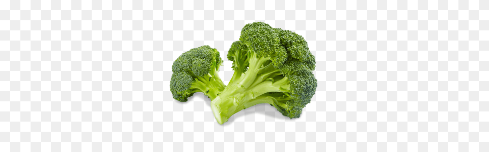 Broccoli, Food, Plant, Produce, Vegetable Png Image