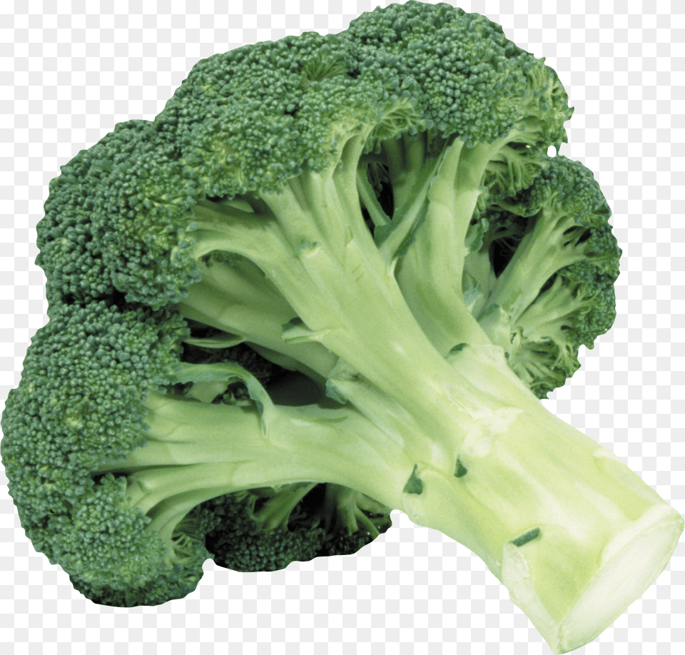 Broccoli, Food, Plant, Produce, Vegetable Png